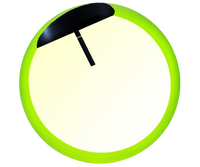 ANGRY GREEN PIG