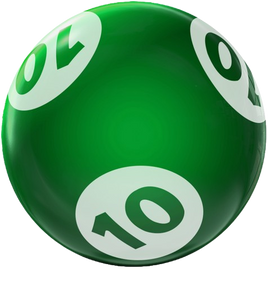 BINGO HOUSEBALL 10 LBS