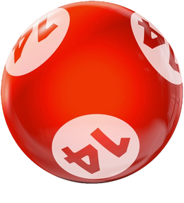 BINGO HOUSEBALL 14 LBS