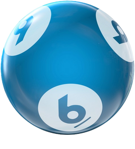 BINGO HOUSEBALL 6 LBS