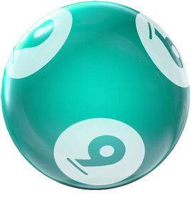 BINGO HOUSEBALL 9 LBS